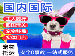 绵阳南郊机场物流国际宠物托运 【国